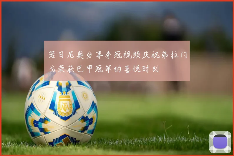 若日尼奥分享夺冠视频庆祝弗拉门戈荣获巴甲冠军的喜悦时刻
